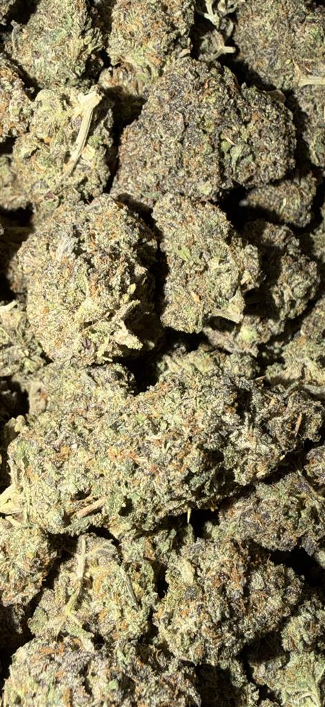 Candyland Gelato