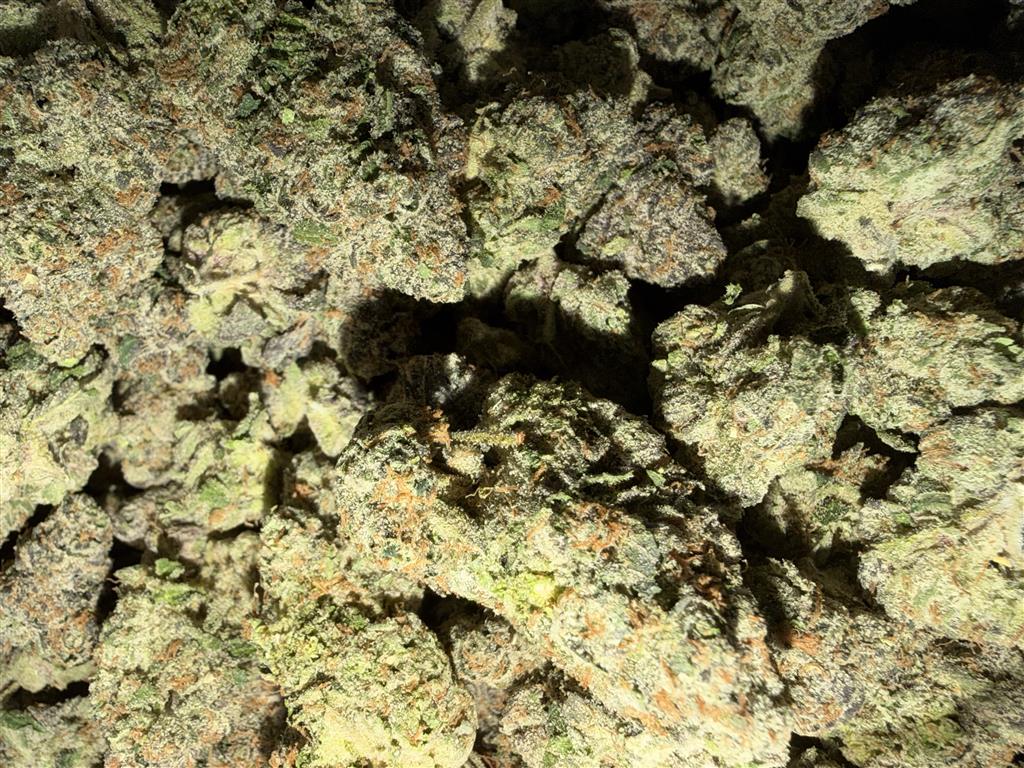 Bubblegum Gelato