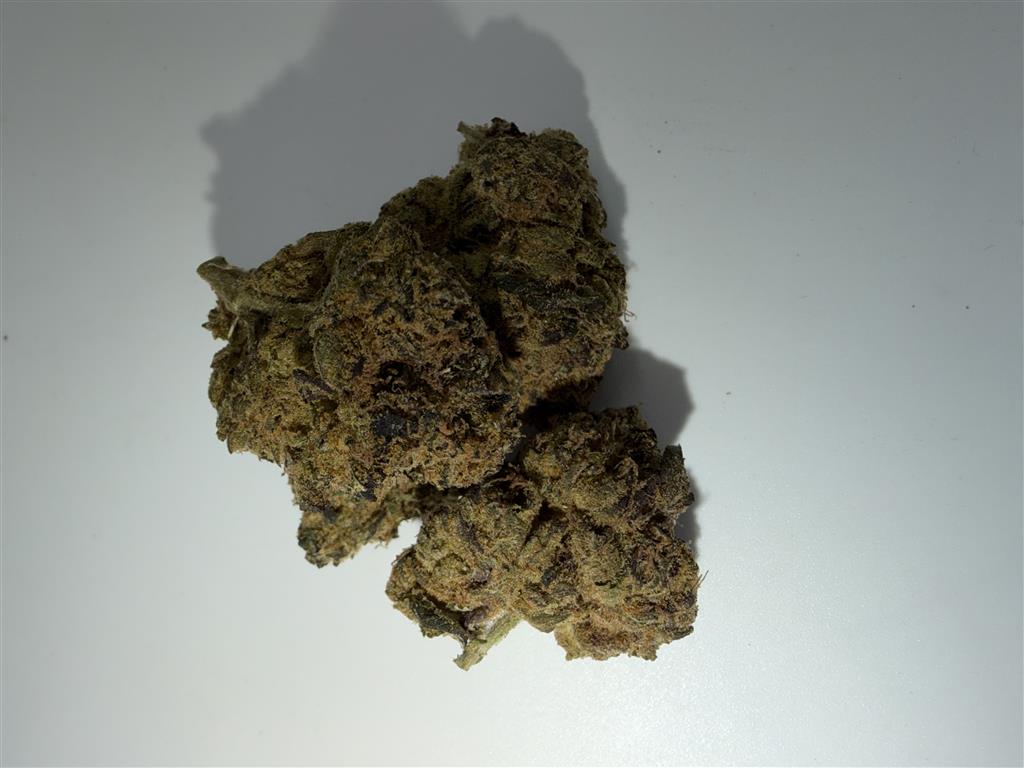 LA Gelato