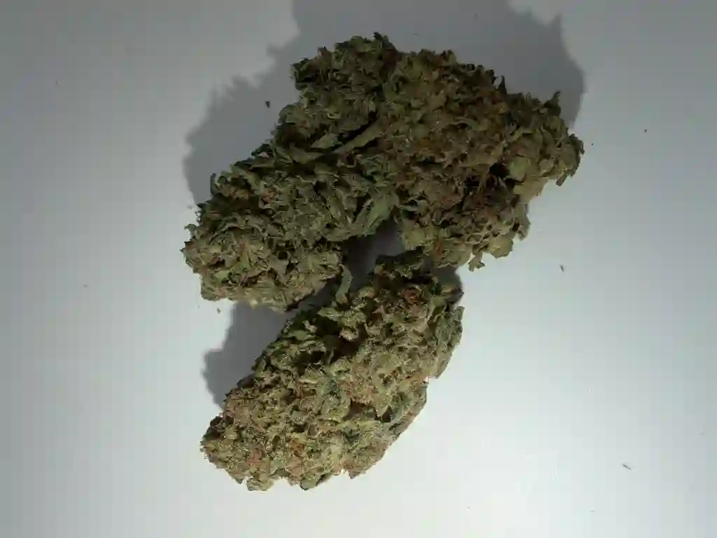 Girl Scout Cookie