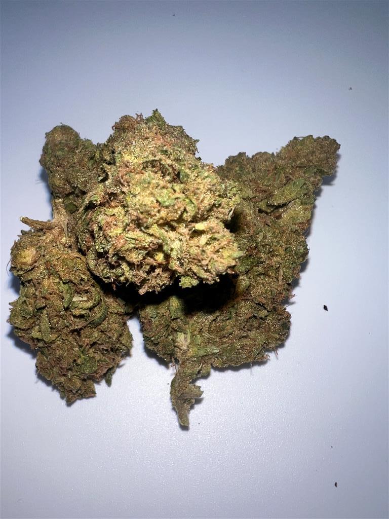 Papaya